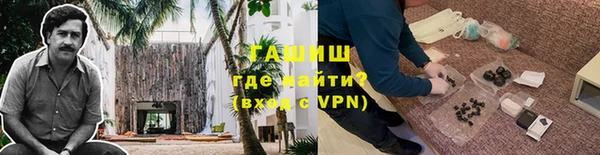 гидра Бородино