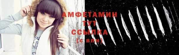 гидра Бородино