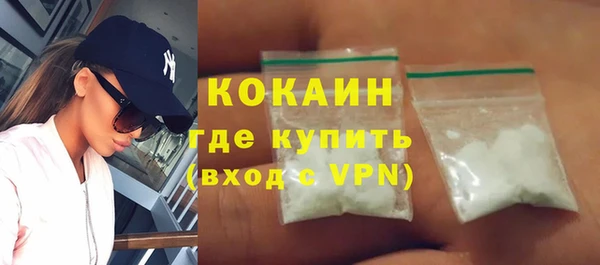 гидра Бородино