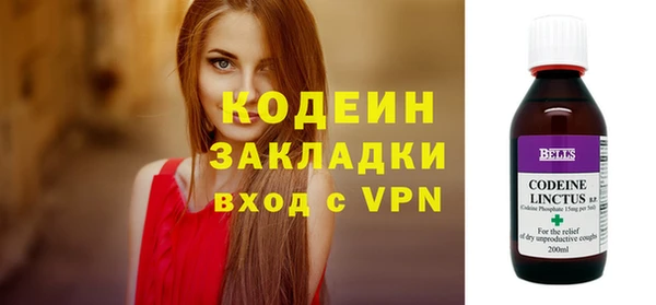 гидра Бородино