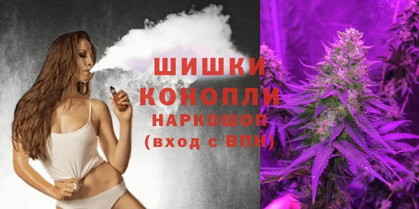 гидра Бородино