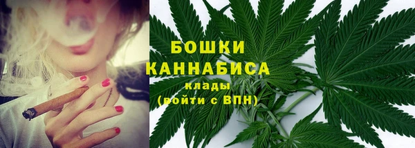 гидра Бородино