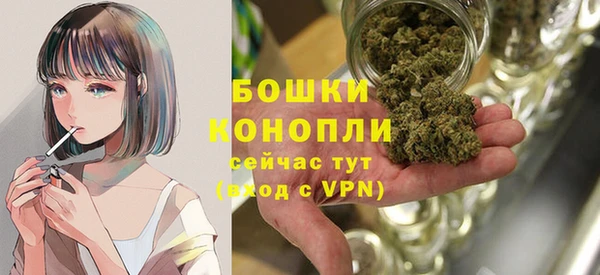 гидра Бородино